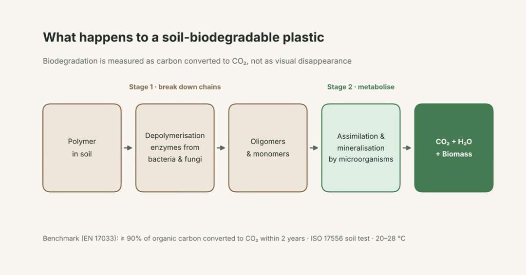 what-happens-to-a-soil 3 what happens to a soil uai